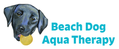 Beach Dog Aqua Therapy